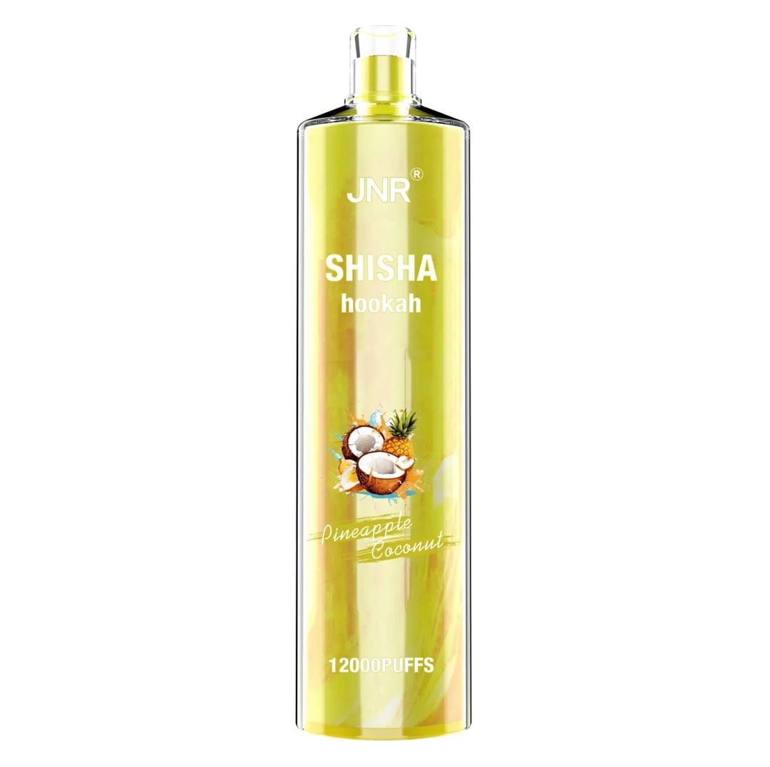 JNR ShiSha 12000 Bouffées